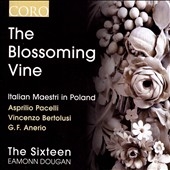The Blossoming Vine - Italian Maestri in Poland