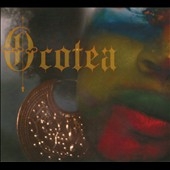 The Jyoti : Ocotea The Jyoti : Ocotea