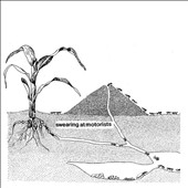 Swearing at Motorists Swearing at Motorists