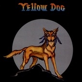 Yellow Dog Yellow Dog