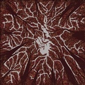 TOWER RECORDS ONLINE㤨Trash Boat/Crown Shyness[HR24901]פβǤʤ2,690ߤˤʤޤ