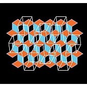 Mr. Alien Brain Vs. The Skinwalkers ［CD+DVD］