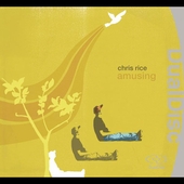 Amusing [DualDisc] [DualDisc]