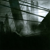 And In The Endless Pause There Came The Sound Of Bees