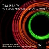 Tim Brady: The How and the Why of Memory