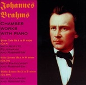 Brahms: Chamber Music / Rubinstein, Heifetz et al