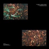 Bad Vibes: Rarities And Extras Bad Vibes: Rarities And Extras