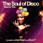 The Soul of Disco Vol.2