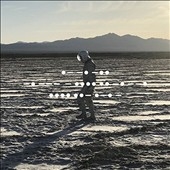 And Nothing Hurt (Black Vinyl)