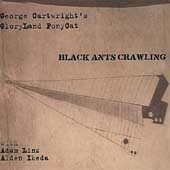 Black Ants Crawling Black Ants Crawling