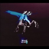 Not All the Beautiful Things Not All the Beautiful Things