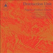 Negative Feedback Resistor *