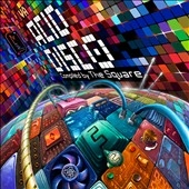 Acid Disco (Compiled By The Square)