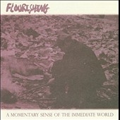 A  Momentary Sense Of The Immediate World