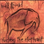 Feeling the Elephant
