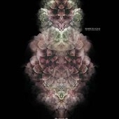 Motorglider Motorglider