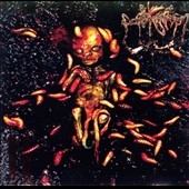 Sublime Cadaveric Decomposition II