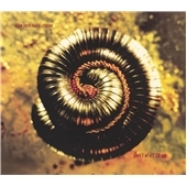 American Piano Concertos - MacDowell, Wiley / Krieger, et al