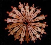 Baroque Primitiva Baroque Primitiva