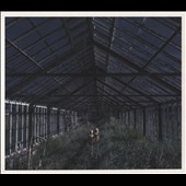 Foxing/Dealer[TCRW31872]