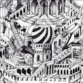 Divisions Chirality Divisions Chirality