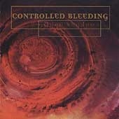 Gilded Shadows Gilded Shadows