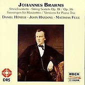 Brahms: String Sextets - Versions for Piano Trio / Hoexter