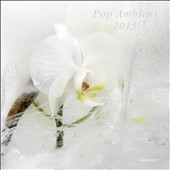 Pop Ambient 2015