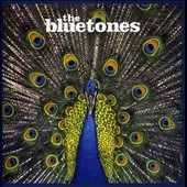 The Bluetones/Expecting to Fly
