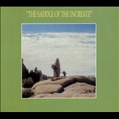 TOWER RECORDS ONLINE㤨Sun Araw/Saddle of the Increate[SNKR472]פβǤʤ3,190ߤˤʤޤ