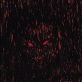 TOWER RECORDS ONLINE㤨DJ Richard/Dies Irae Xerox[DIALCD040]פβǤʤ2,890ߤˤʤޤ