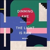 Dimming Awe, The Light Is Raw Dimming Awe, The Light Is Raw