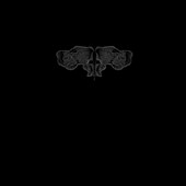 Sleepstep 