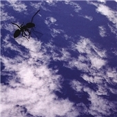 Hits Of Creed Vol. 1 [PA]