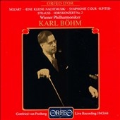 SYM 41-JUPITER/CTO HORN 2 SYM 41-JUPITER/CTO HORN 2