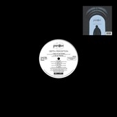 Depth Perception Depth Perception