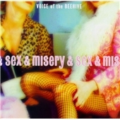 AMERICAN CONNECTION AMERICAN CONNECTION