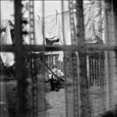 Chaos And Creation in the Backyard