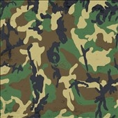 Brown Album: Black Album Remixes Brown Album: Black Album Remixes