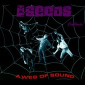 Web of Sound  