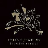 Invasive Exotics [12inch Vinyl Disc]