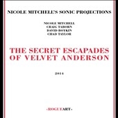 The Secret Escapades of Velvet Anderson