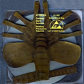 Destination Time Tomorrow