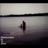 Destruction in Yr Soul 