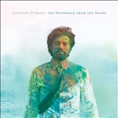 The Shipwreck From the Shore