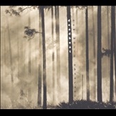 New World Observer [LP]