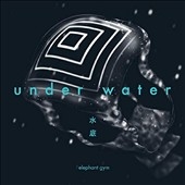 Elephant gym 水底　レコード Elephant Gym/Underwater
