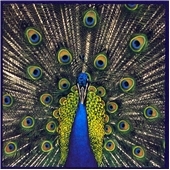 Both Sides Of Midnight