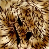 TOWER RECORDS ONLINE㤨Spirits Of The Dead/The Great God Pan[EDRE1992]פβǤʤ2,290ߤˤʤޤ