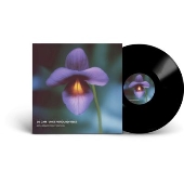 Underground Vibes (30th Anniversary)